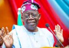 Tinubu Vows to Deliver Ranching, Livestock Reforms to End Conflicts