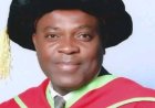 State University VCs at the mercy of Governors’ wives - Professor Nwajiuba
