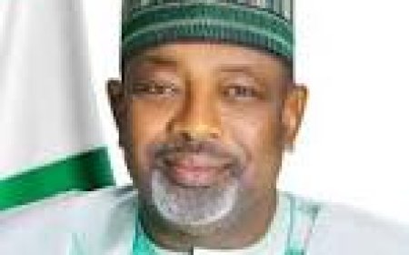 Kyari to Assess FGN/IFAD Projects in Nasarawa, Commission Rice, Cassava Processing Centres