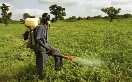 FG Moves to Harmonise Fertiliser Application to Boost Food Production, Protect Soil Health