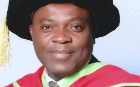 State University VCs at the mercy of Governors’ wives - Professor Nwajiuba