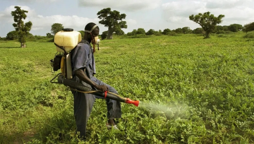 FG Moves to Harmonise Fertiliser Application to Boost Food Production, Protect Soil Health