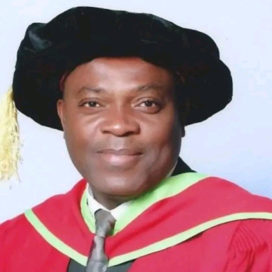State University VCs at the mercy of Governors’ wives - Professor Nwajiuba
