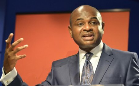Bwala’s Al Jazeera Interview Damaging to Nigeria, Tinubu’s Government – Moghalu