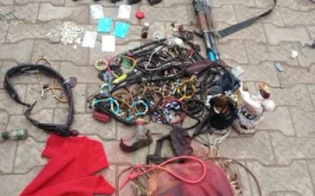 Soldiers Kill Two Suspected Terrorists in Benue, Recover Arms