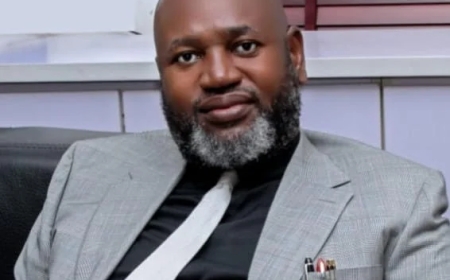 Scrapping Indirect Primaries May Worsen Godfatherism — Ex-Benue AG Warns