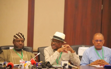 PDP BoT to Meet Over Appeal Court Judgment on Party Convention