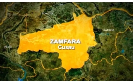 Zamfara Govt Confirms Four New Polio Cases, Intensifies Vaccination Drive