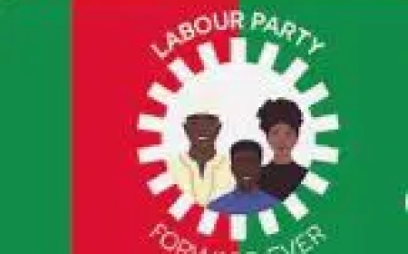 Labour Party Fixes May 23 for 2027 Presidential Primaries