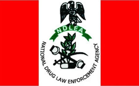 Lagos Court Fines Vessel, 10 Sailors $6m Over Cocaine Smuggling — NDLEA