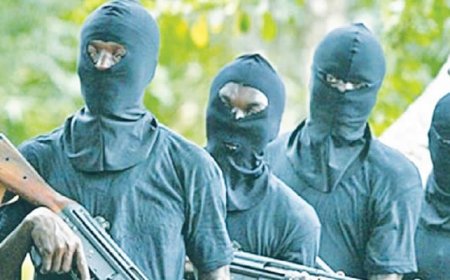 Eight Feared Dead as Terrorists Bomb Bridge in Niger State