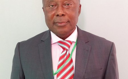 Ex-AGF Nwabuoku Sentenced to 72 Years for N868 Million Fraud