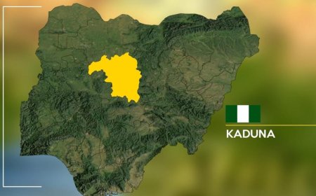 Terrorists Attack Kaduna Wedding, Kill 13 Guests and Abduct Several