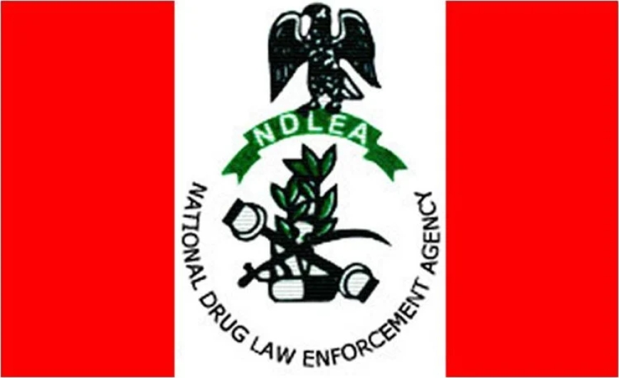 Lagos Court Fines Vessel, 10 Sailors $6m Over Cocaine Smuggling — NDLEA