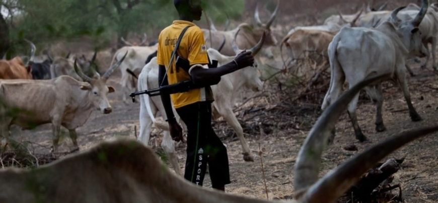 Benue: Armed Herders Strike Yelewata Again, Two Injured