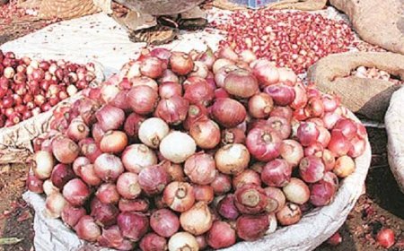 Fire Destroys 2,275 Bags of Onions Worth N56.8m in Sokoto