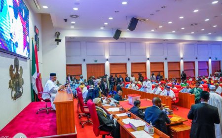 N’Assembly Moves to Strengthen Food Security with New Reserve Agency Bill