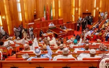 Senate Probes Adamawa Attacks, Orders Relief for Displaced Communities