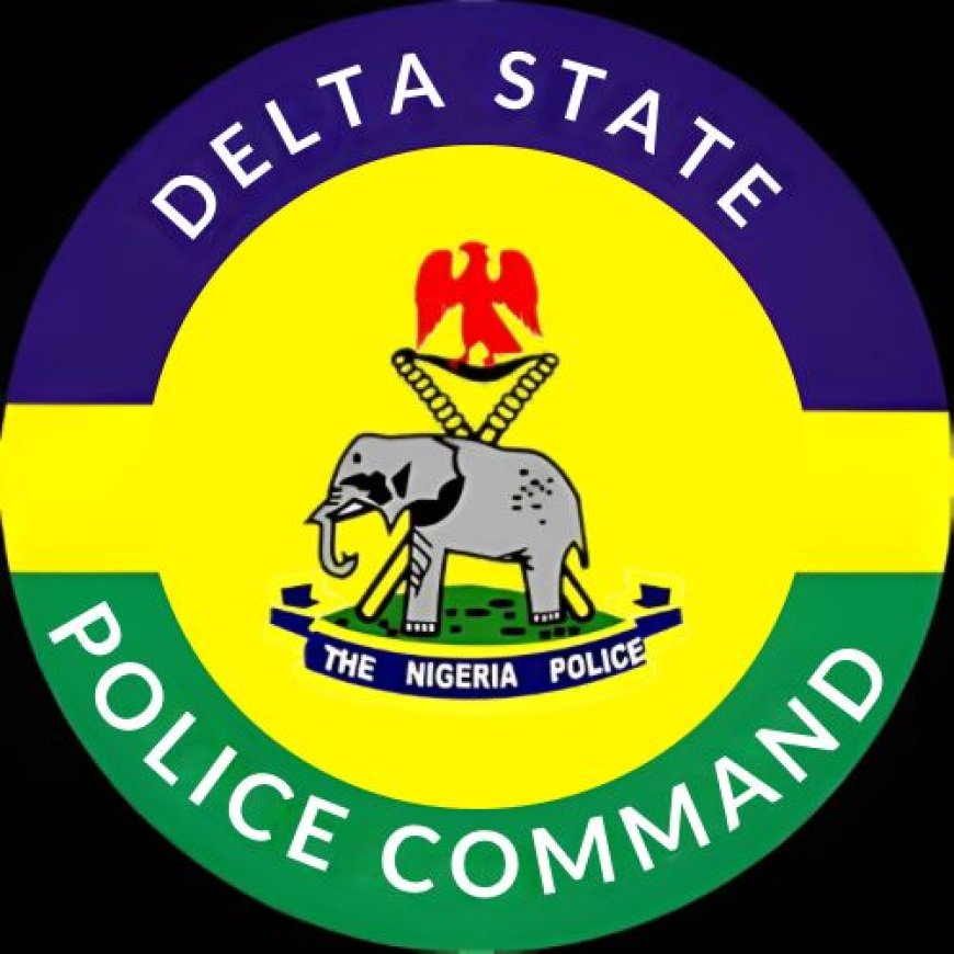 Police Officer in Custody After Suspect Dies in Delta Operation