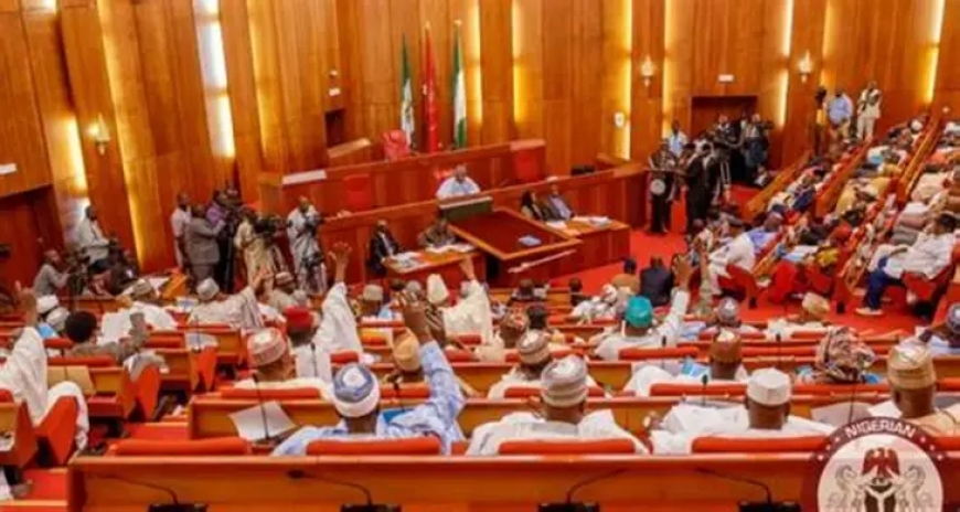 Senate Probes Adamawa Attacks, Orders Relief for Displaced Communities