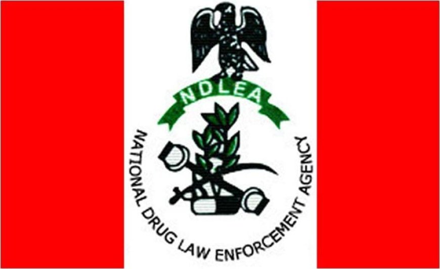 NDLEA Raids Drug Dens, Arrests 52 Suspects in Kano