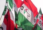 Wike-Backed PDP Unveils Candidates for Oyo Reps Seats Ahead of 2027 Polls
