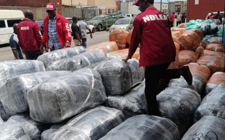 NDLEA Intercepts ₦10.4bn Canadian Loud at Lagos Port