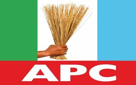 Ben Murray-Bruce, 46 Others Disqualified From APC Senate Primaries