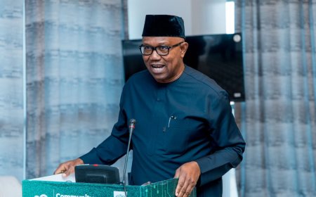 NDC Clears Peter Obi for 2027 Presidential Primary