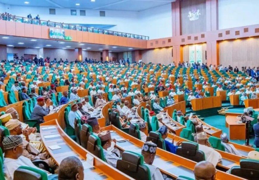 Reps Call for Urgent Relief for Niger Rainstorm Victims