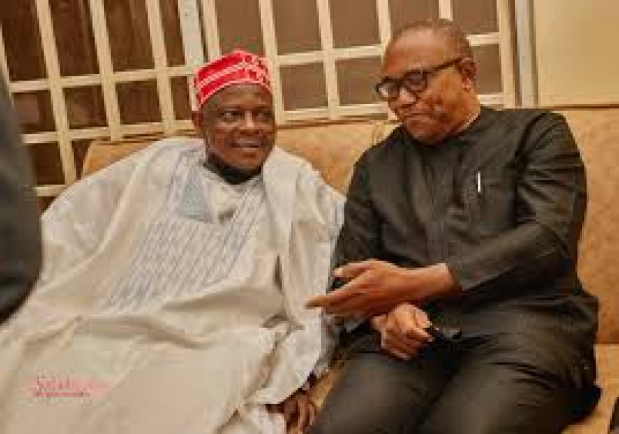 Peter Obi Visits Kwankwaso After NDC Presidential Clearance