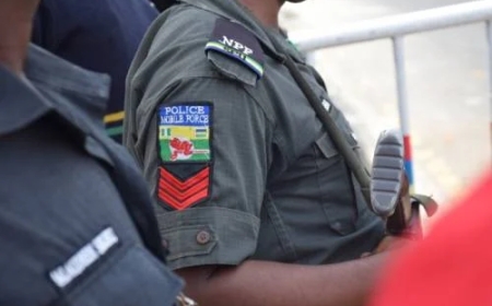 Police Arrest 345 Suspected Thugs, Drug Peddlers in Kano Crackdown