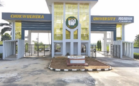 Ojukwu varsity dismisses two professors, three others for gross misconduct