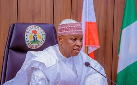 Kano shuts two health training institutions over regulatory violations