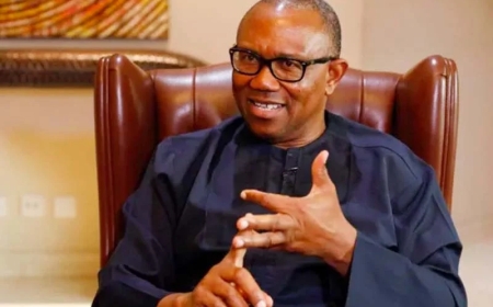 Groups Fault Obi’s Call for Tinubu’s Resignation, Insist on Constitutional Process