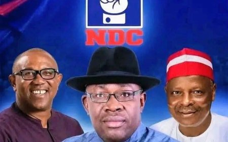 From Hope to Disillusionment? The Troubling Face of the NDC