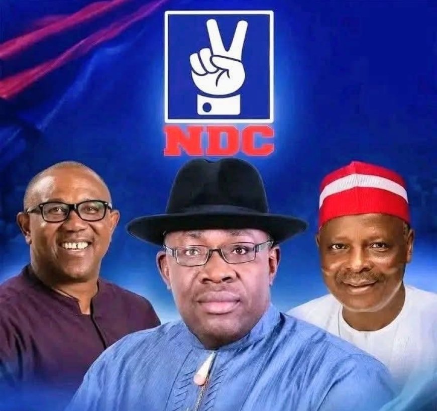 From Hope to Disillusionment? The Troubling Face of the NDC